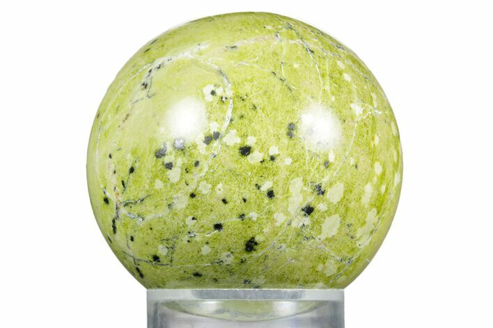 Polished Lizardite With Hematite Sphere #350138